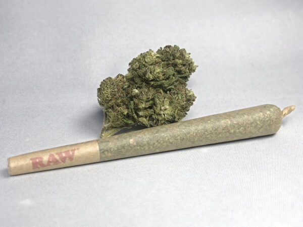 THC-A 2 Gram Pre-Roll PINEAPPLE - Image 2